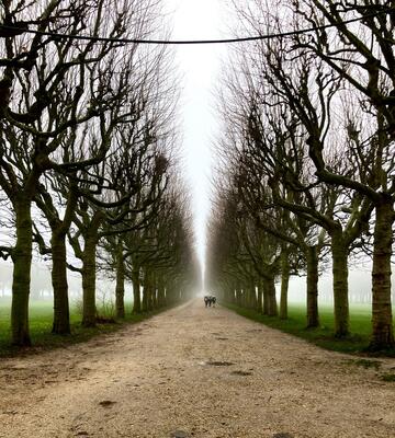 A foggy walking path to the Observatoire de Paris