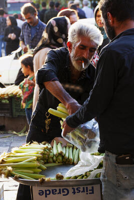 Fresh vegetables at the market