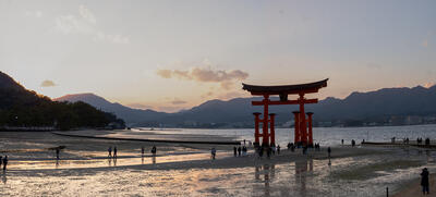 Holy Shrine in Miyajima